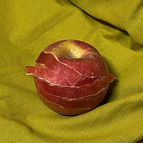 [자그네]사과껍질 마스킹 테이프